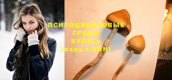 МДПВ Арсеньев